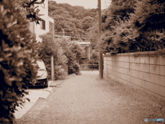 なんでもない路地