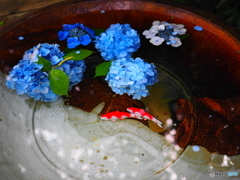 鎌倉