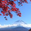 富士紅葉