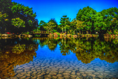奈良公園