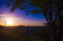夕日