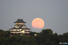 国宝と満月