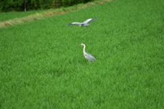 IMG_5180