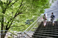 霞ヶ関の夏1