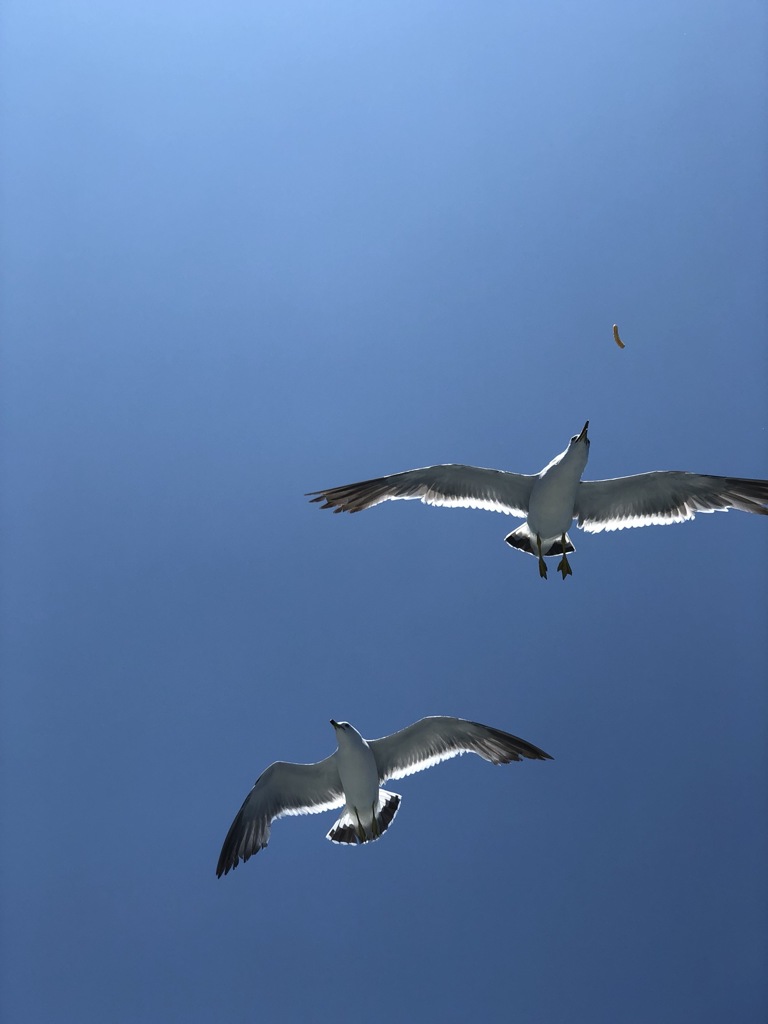 かっぱえびせんを食べる瞬間