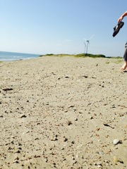 IMG_0088
