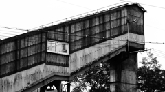IMG_2665