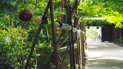 油山寺