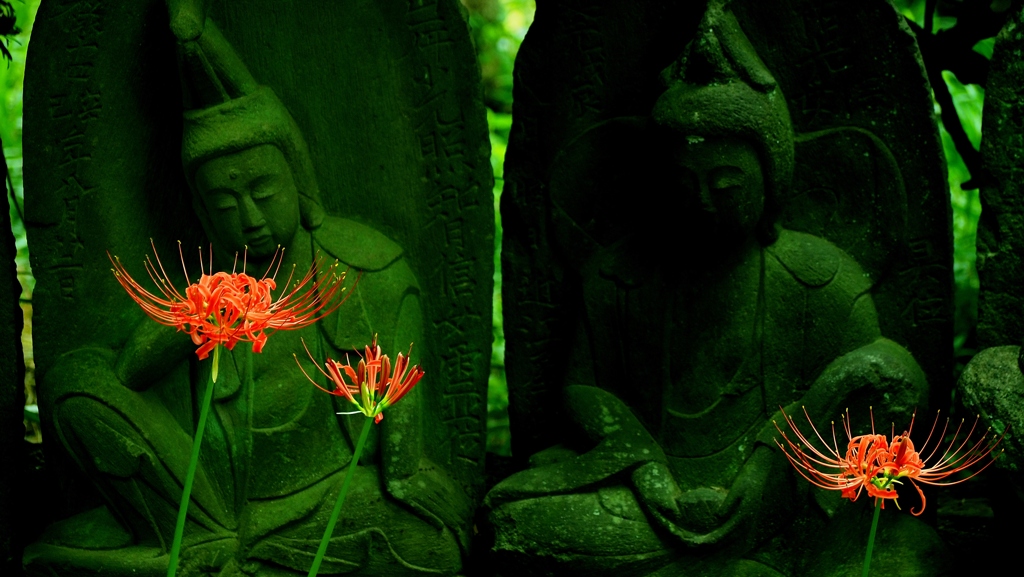 乗蓮寺の曼珠沙華