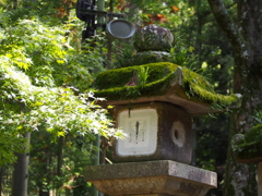 春日大社の灯籠