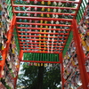 田無神社の七夕　てるてる短冊トンネル