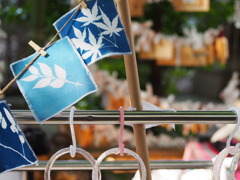 軟らかな日射し