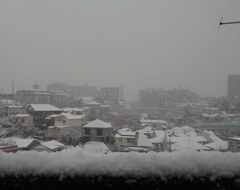 東京の雪化粧