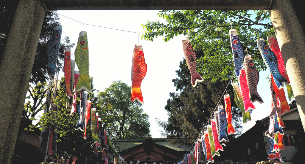 熊野神社の鯉のぼり