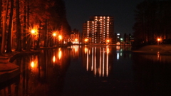 夜の別所沼公園