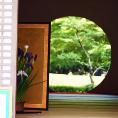 明月院  悟りの窓