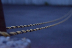 早朝　紐
