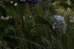 B23A0577