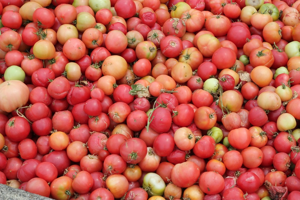 トマトトマトトマト