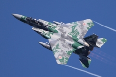 幻の小松基地航空祭2017 予行 新塗装アグレッサー