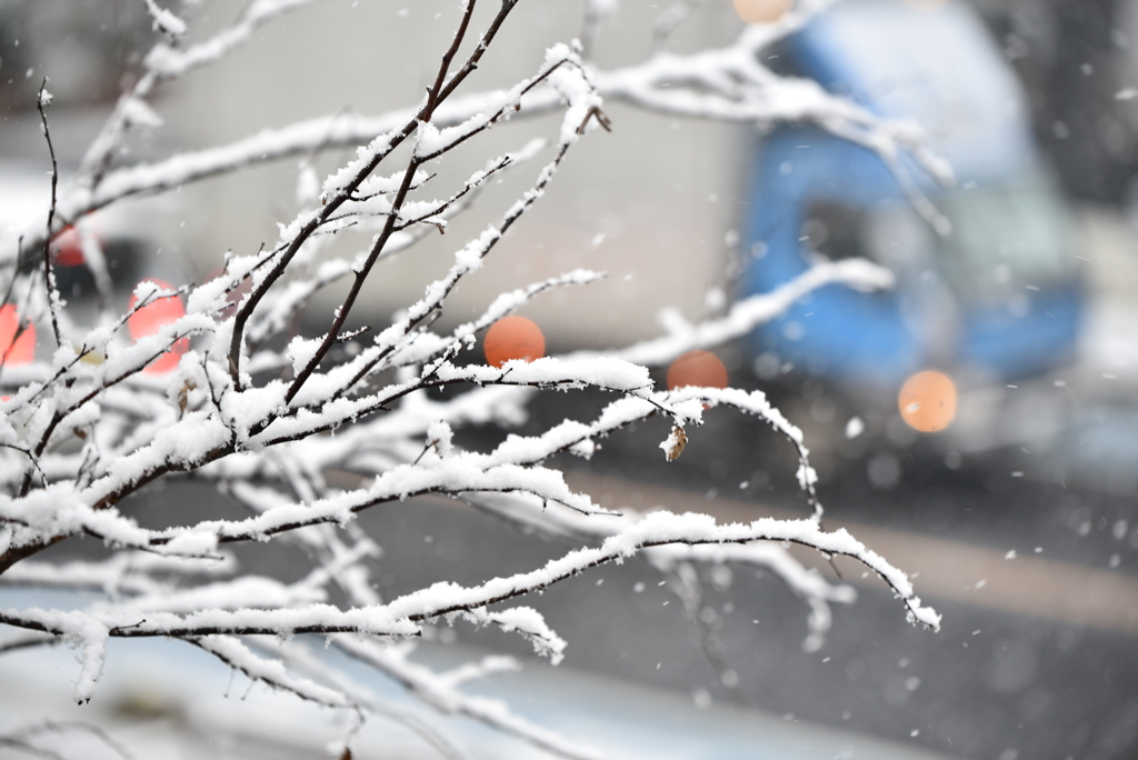 大雪
