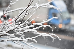 大雪