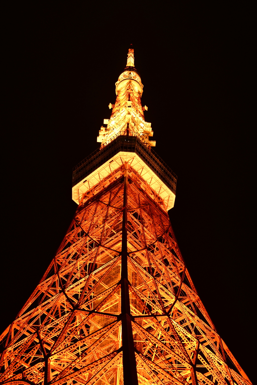 東京タワー3