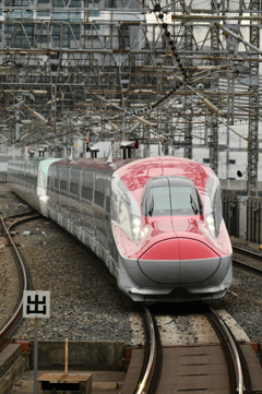 大宮駅にて