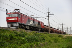 散歩３