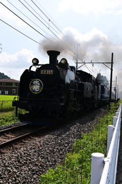 大樹　1