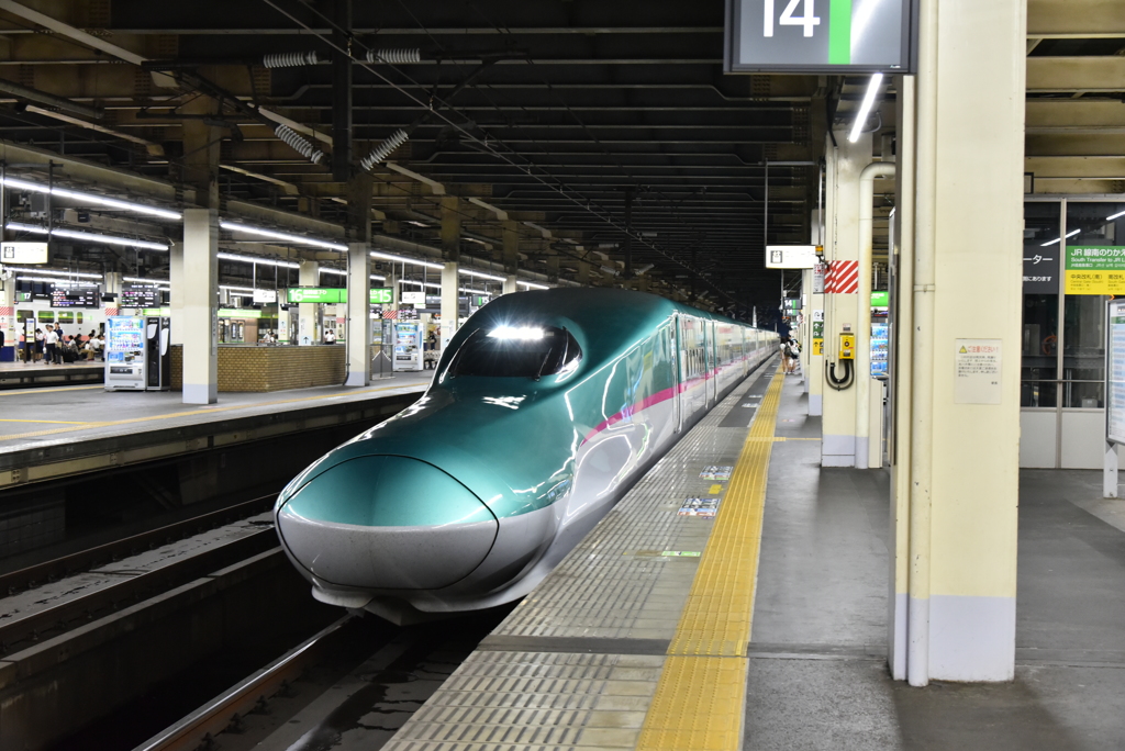 息子が初めて乗った新幹線