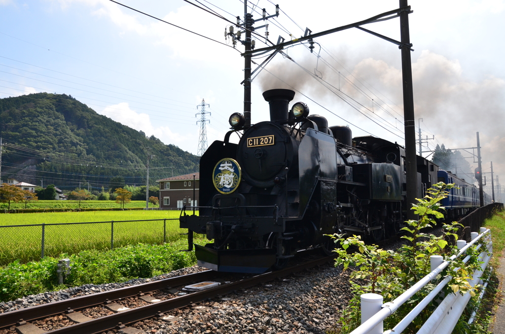 大樹