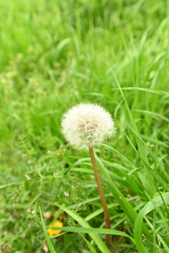 今日のお散歩2