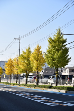 順番に
