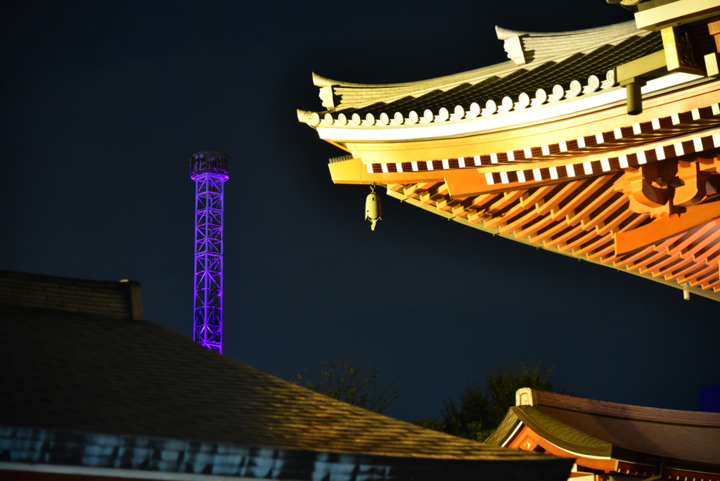 浅草寺と花やしき