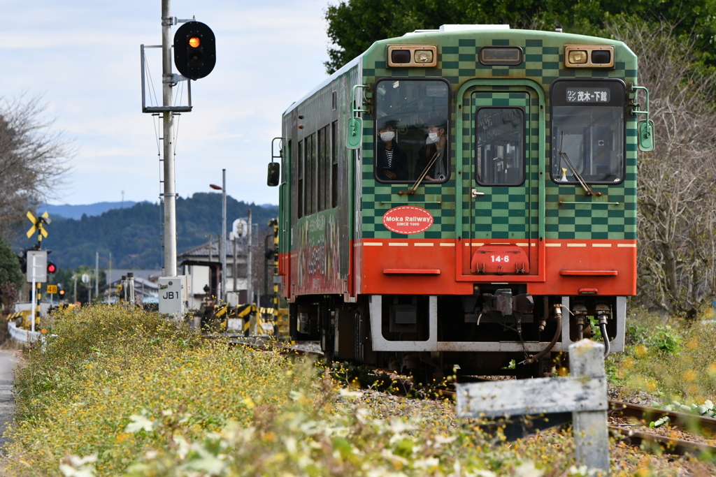 真岡鐡道6