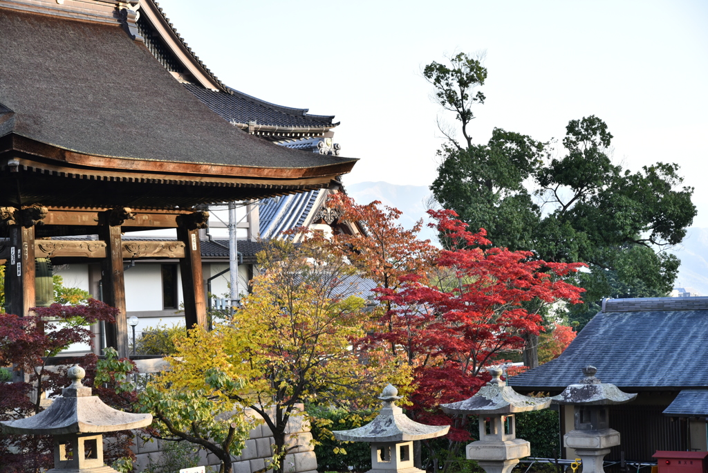 善光寺②