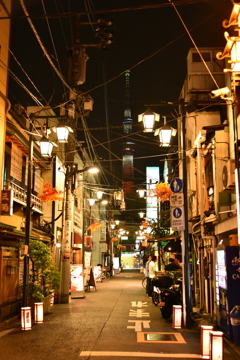 裏道からの東京スカイツリー