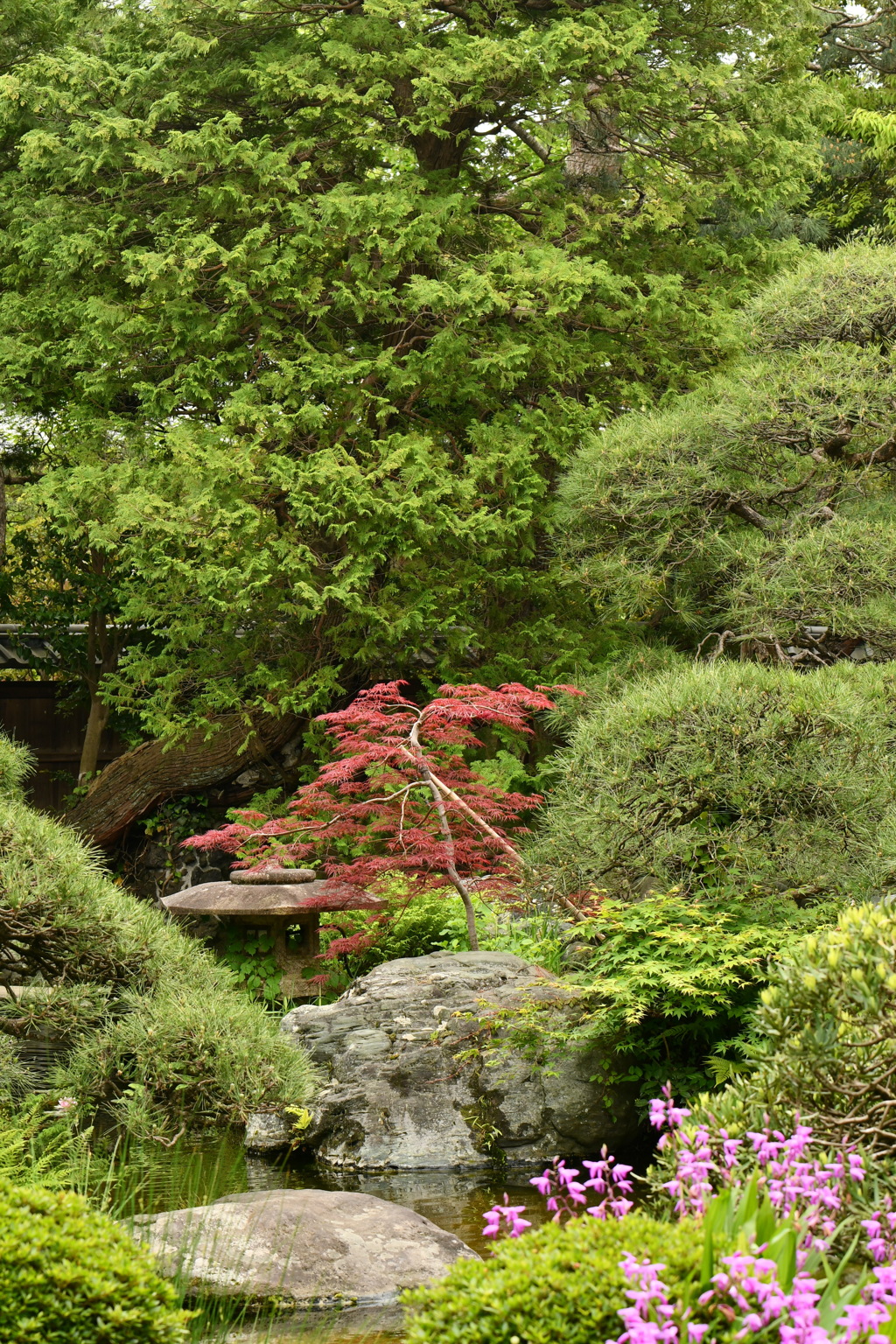 山本亭庭園4