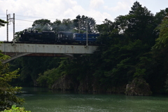 大樹　2