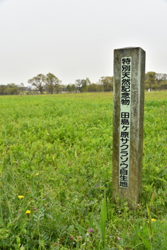 初めて行ってきました