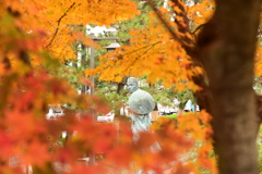 紅葉と芭蕉3