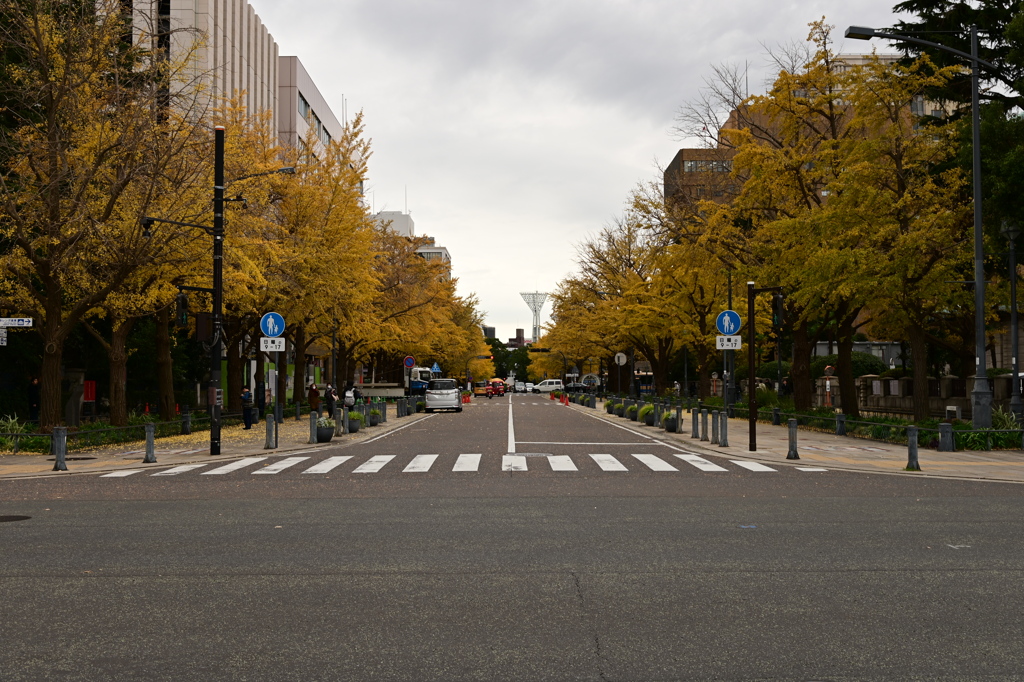 紅葉ギリギリ間に合いました
