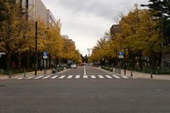 紅葉ギリギリ間に合いました