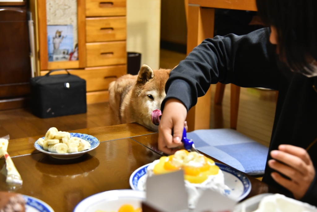 美味しそう