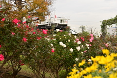 花と氷川丸