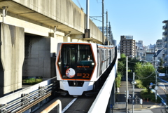 新型2020系
