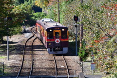 トロッコわっしー号