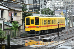 黄色いやつ
