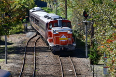 トロッコわたらせ渓谷号